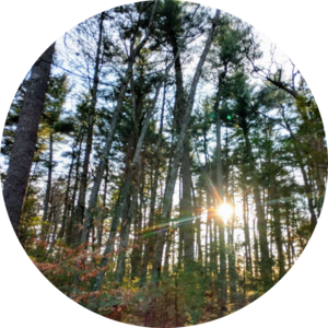 Go to the profile of Ronald Perkins