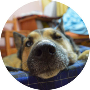 Go to the profile of Santiago Abelleira CTS-D, CTS-I, ANP