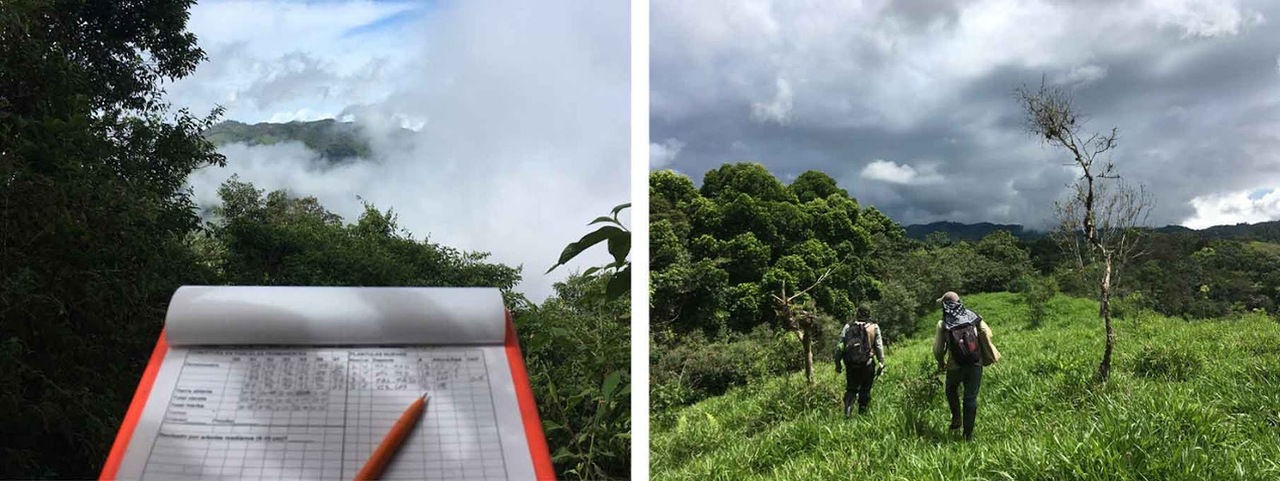 Grand Challenges in Restoration - Global Survey