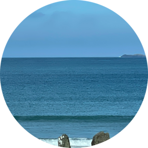 Go to the profile of Sarah