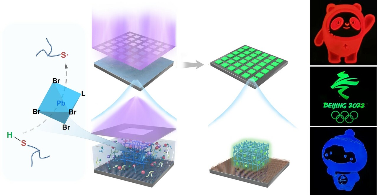 Direct in situ photolithography of perovskite quantum dots based on photocatalysis of lead bromide complexes