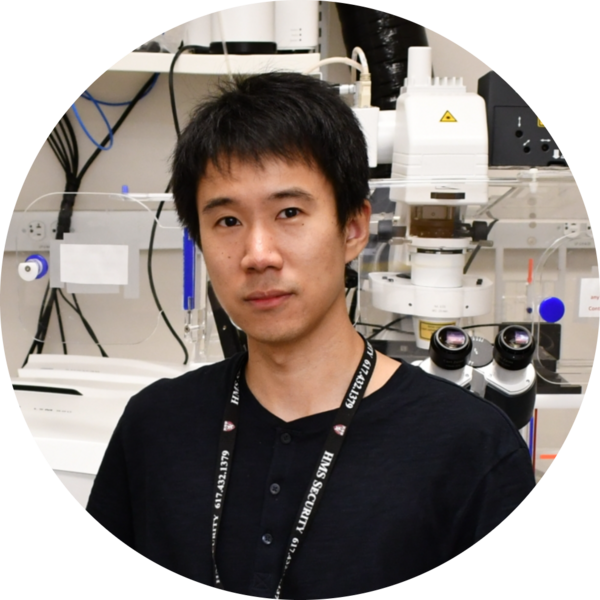 Go to the profile of Peng Xiao