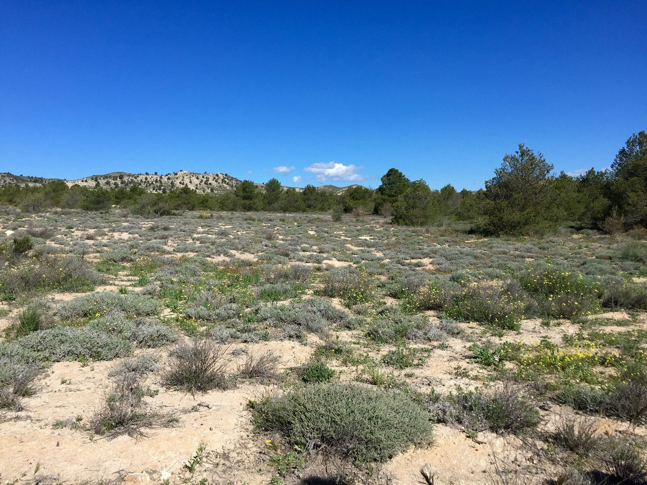 A known evil is better than an unknown good