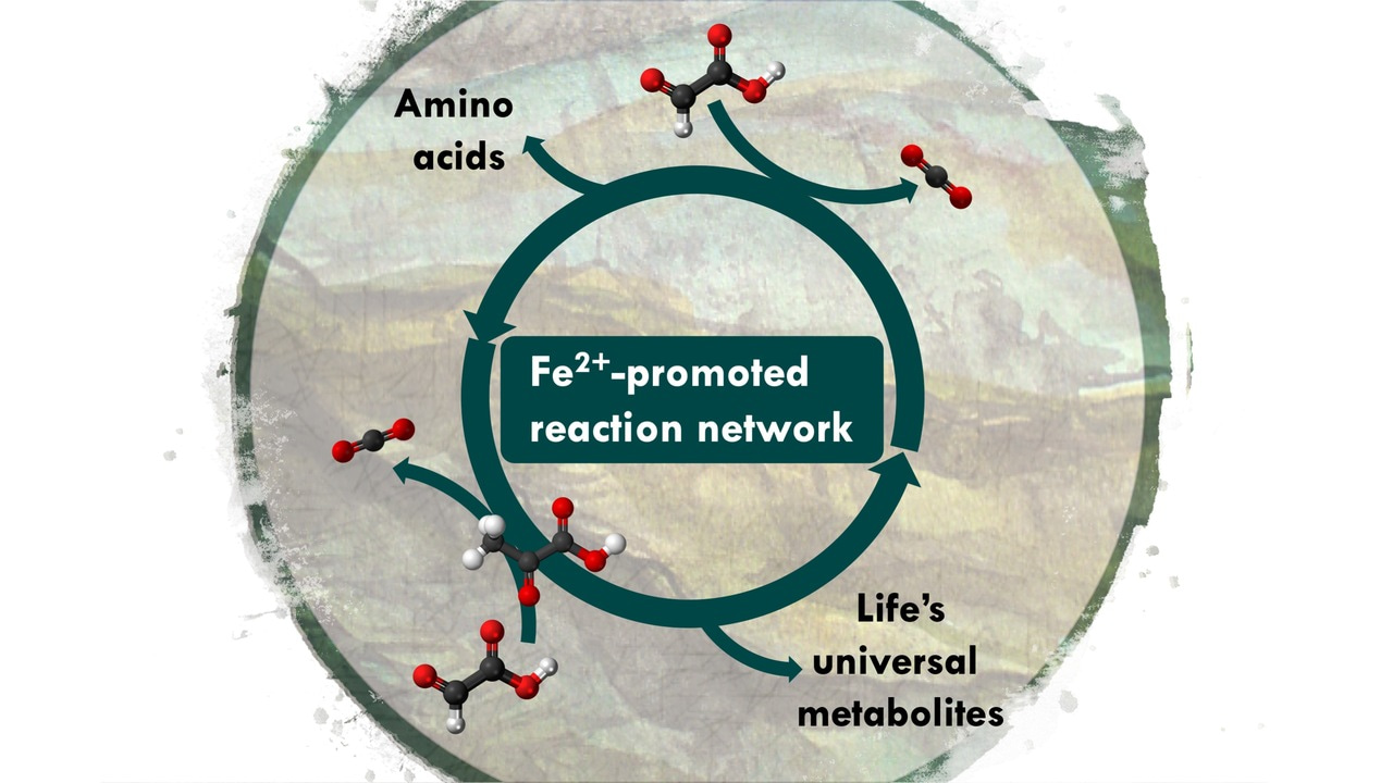 Metabolism before ATP and enzymes
