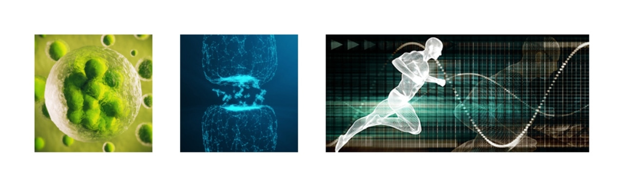 Special Collection: Regenerative Rehabilitation