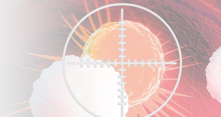 npj Precision Oncology | Celebrating one year of publishing