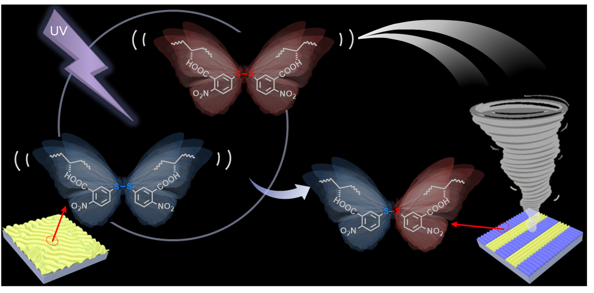 Photo-induced stress relaxation in reconfigurable disulfide-crosslinked supramolecular films visualized by dynamic wrinkling