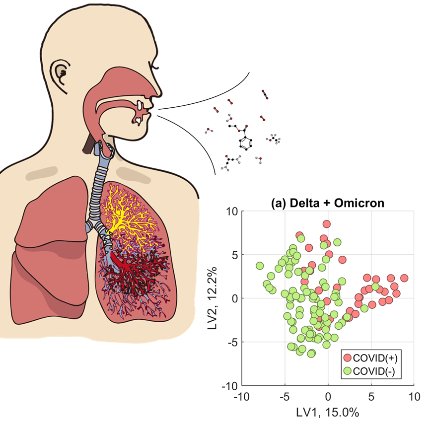 Breath-based COVID tests impacted by emerging variants