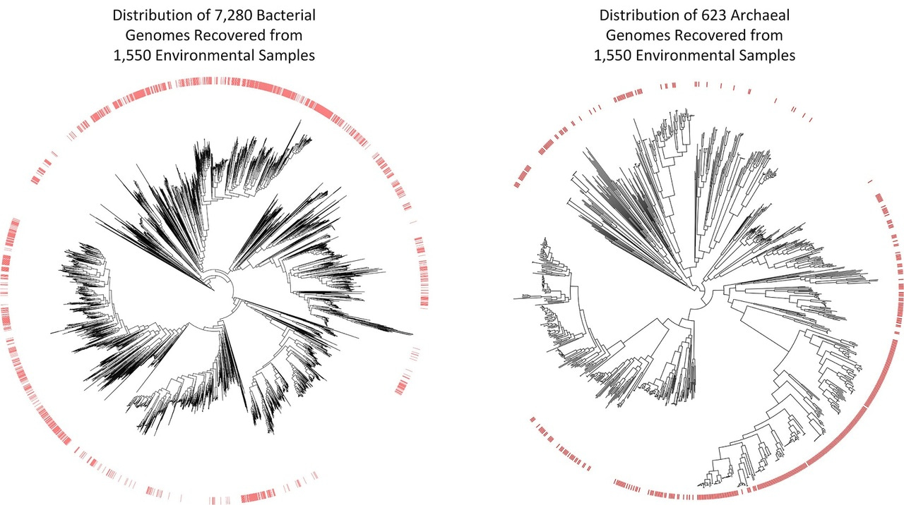 Recovery of nearly 8,000 metagenome-assembled genomes substantially expands the tree of life