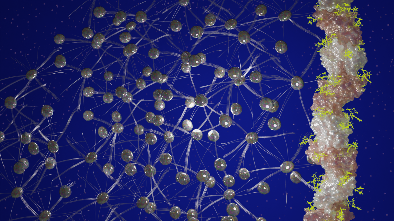 An ultra-stable protein fibre that survives boiling acid