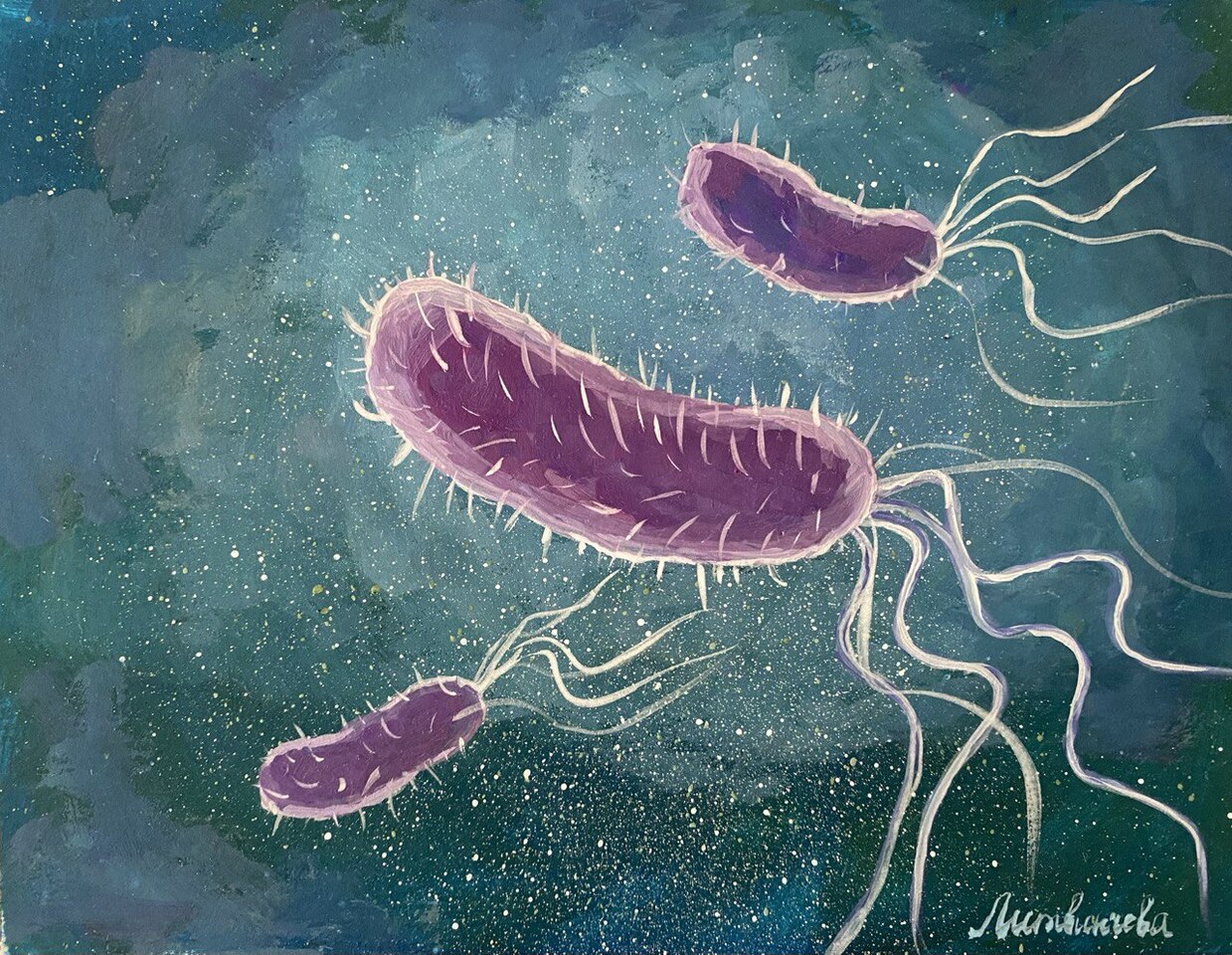 Interaction of microswimmers in viscoelastic liquid crystals
