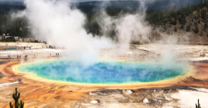 Neural and Hematopoietic Stem Cell Reprogramming Special Issue