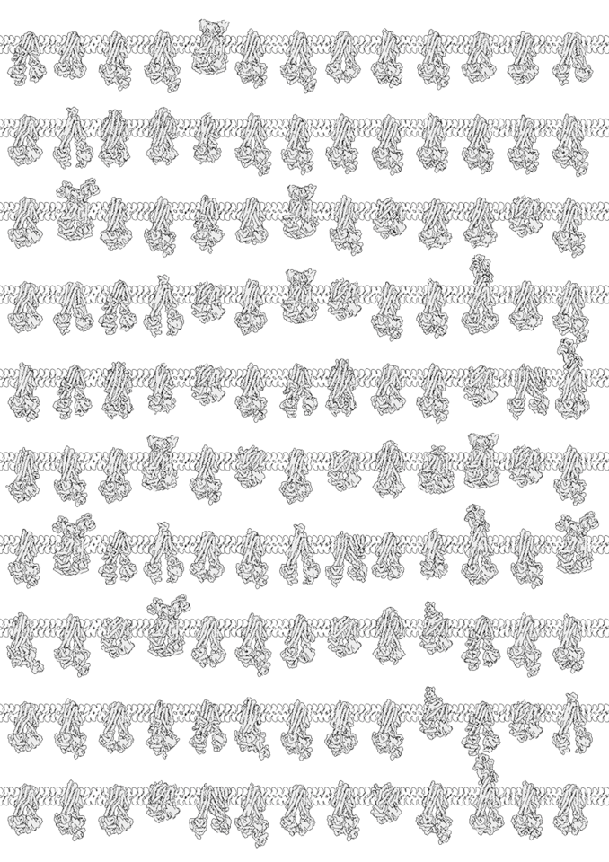 Diversity of Structure and Function of ABC Transporters - Special Issue
