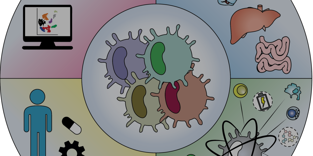 Special Issue: Dendritic cells in health and disease