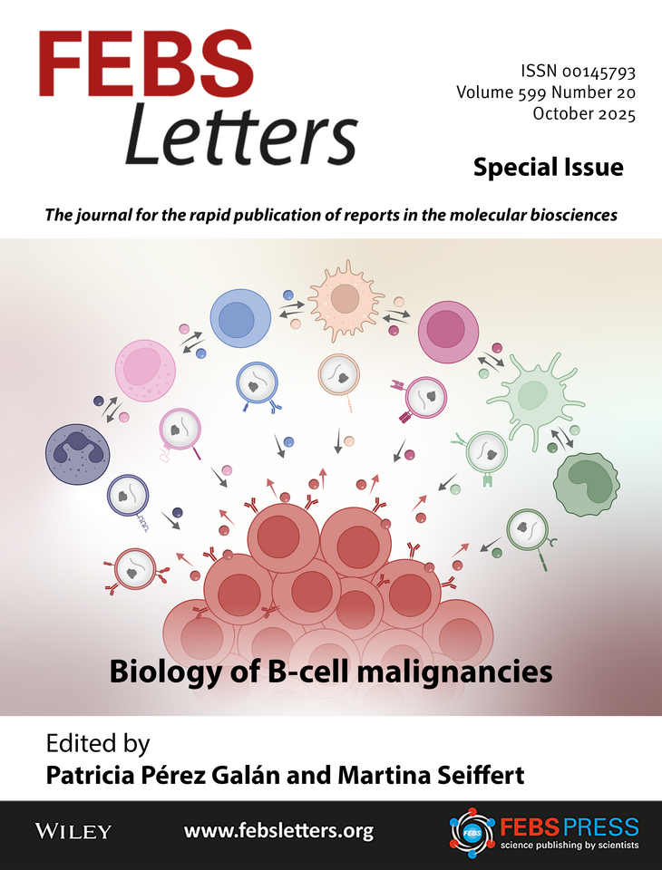 Special Issue: Biology of B-cell malignancies