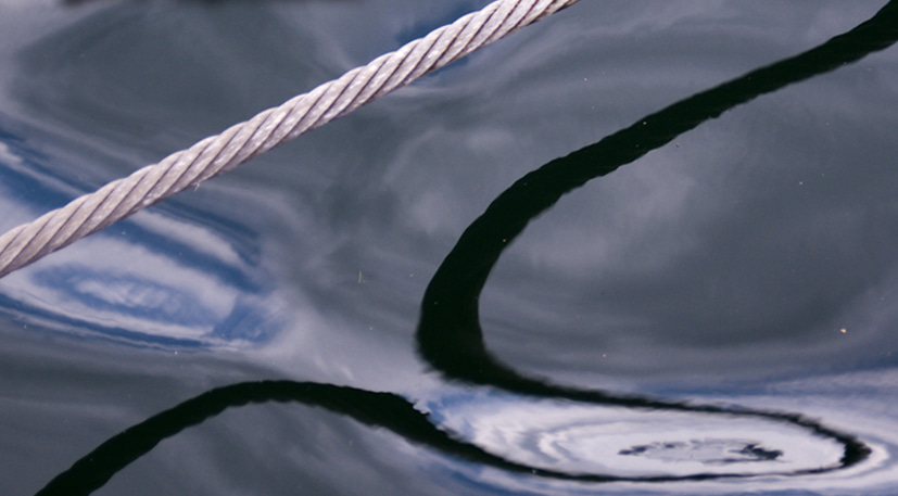 Mirroring the multifaceted roles of RNA and its partners in gene expression