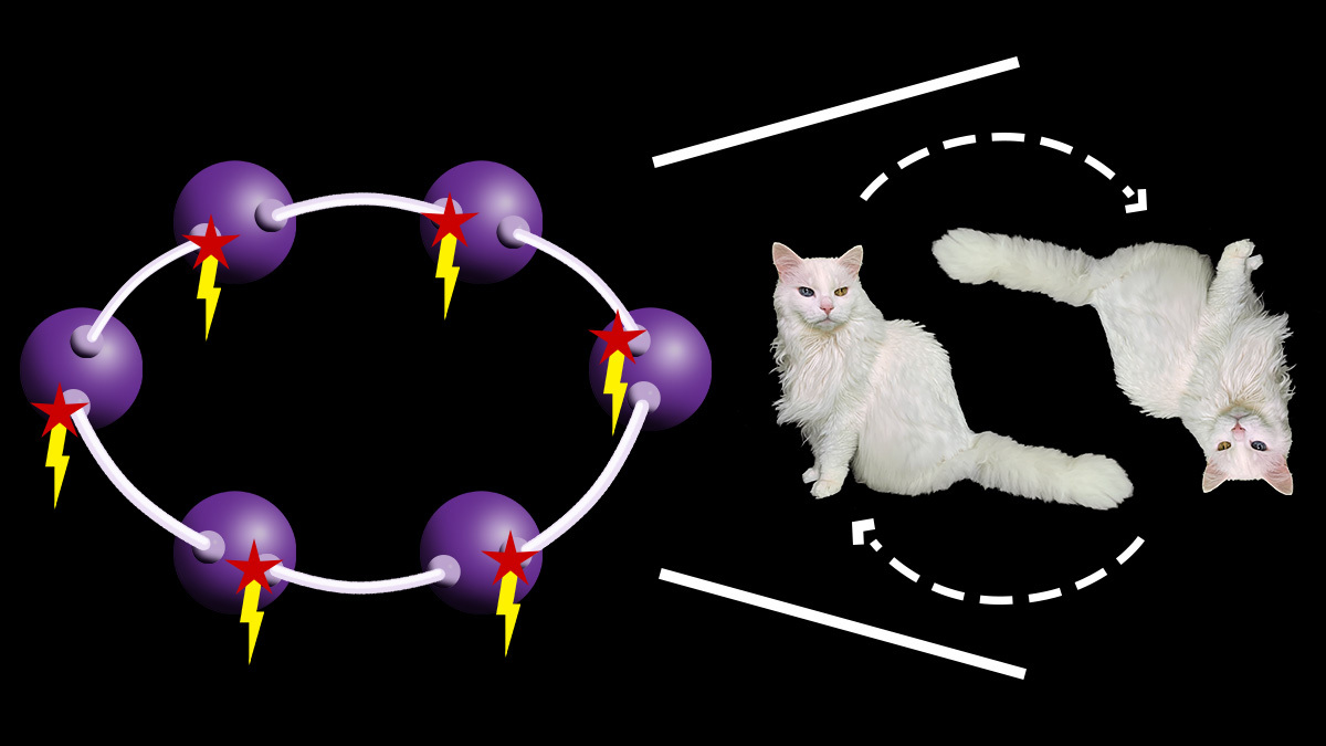 Genuine many-body multistability and boundary time crystals