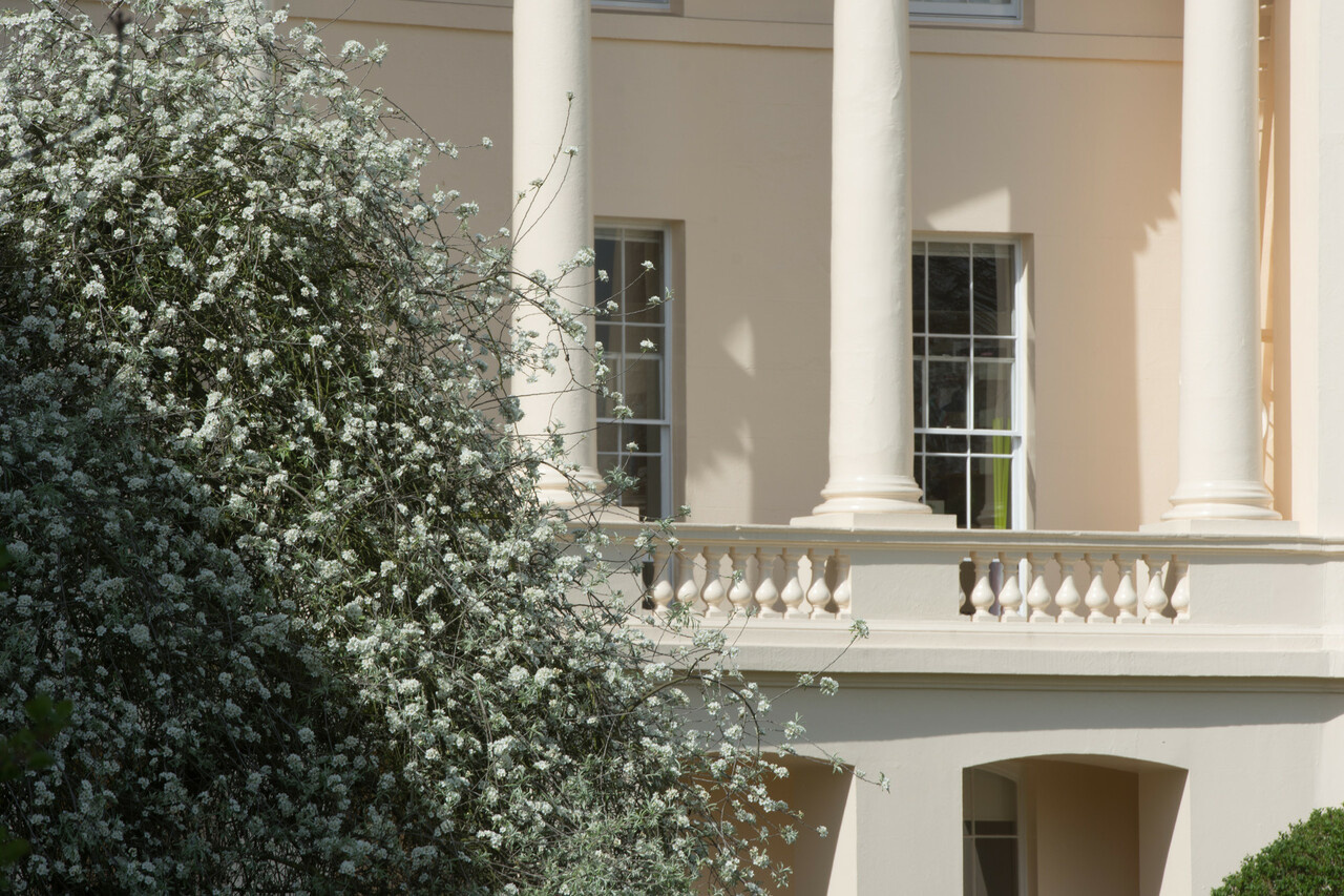 Tomorrow - Laidlaw Scholars Ventures Virtual Session