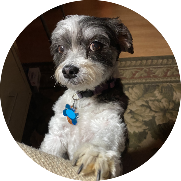 Go to the profile of Tom Kehr