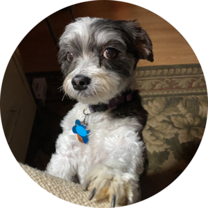 Go to the profile of Tom Kehr