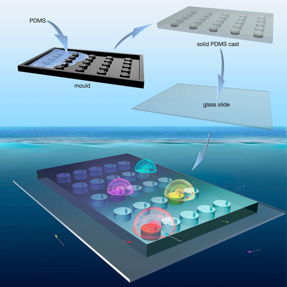 A microfluidics-based in situ chemotaxis assay to study the behaviour of aquatic microbial communities