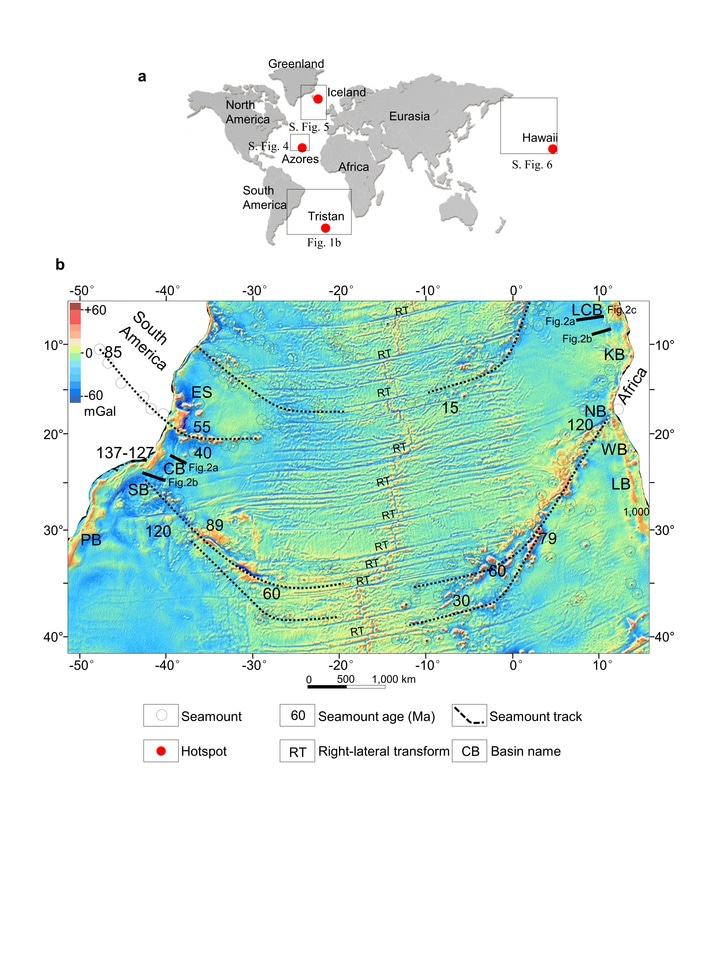 Continental tapering of South America caused asymmetric non-uniform opening of the South Atlantic Ocean