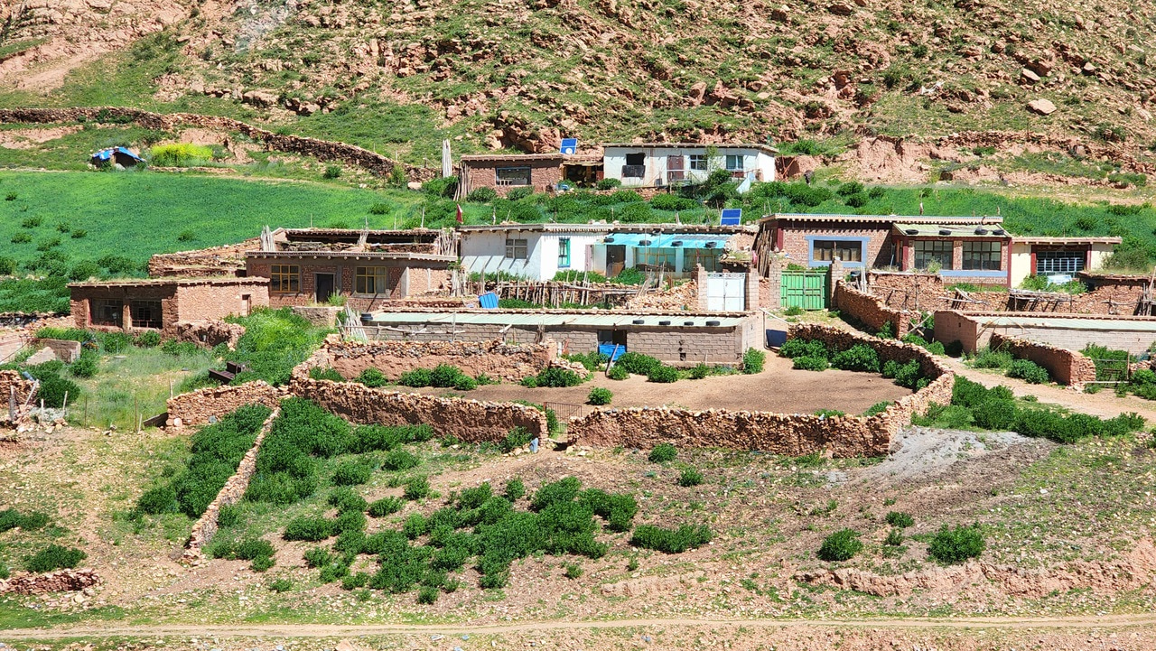 Examining energy inequality under the rapid residential energy transition in China through household surveys 