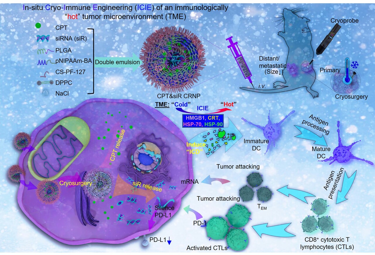 “Heating Up Tumor Microenvironment with Cold”: Engineering Cold-Responsive Nanoparticles-Potentiated Cryoimmunotherapy for Fighting Against Cancer Metastasis