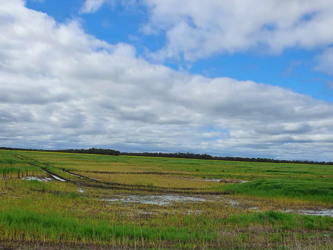 Advancing place-based crop modelling for global adaptation to crop waterlogging