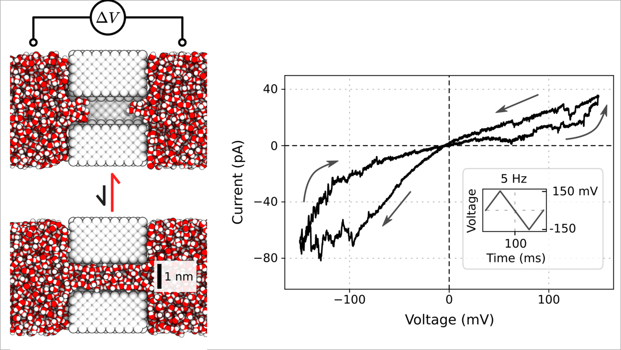 Hydrophobically gated memristive nanopores for neuromorphic applications
