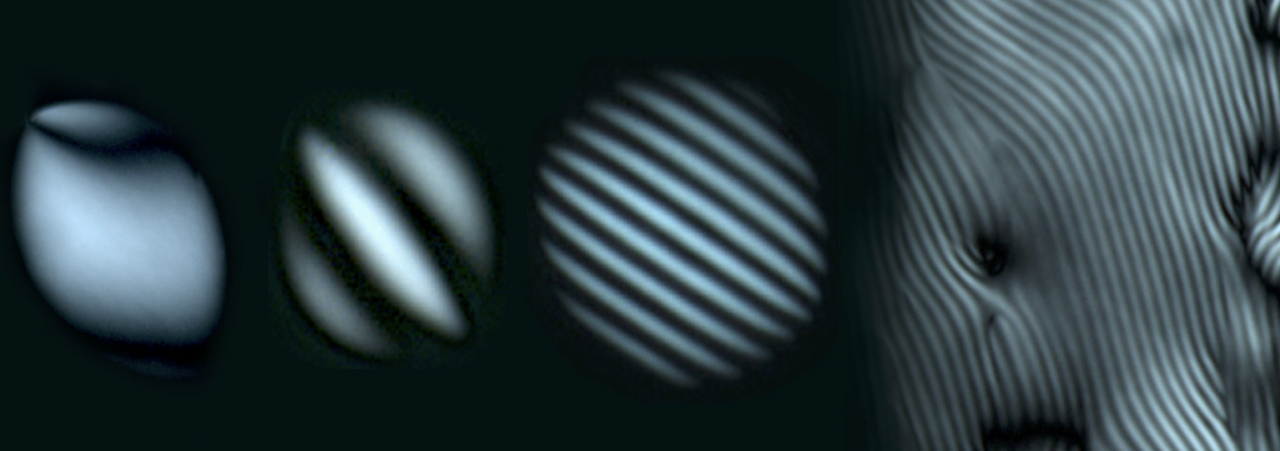 How can kinetics and thermodynamics be disentangled in phase separation?