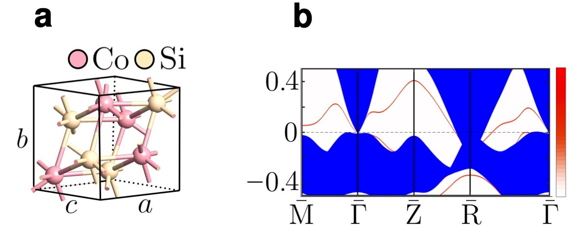 Unconventional resistivity scaling in topological semimetal CoSi