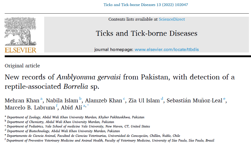 Hello! My name is Mehran Khan