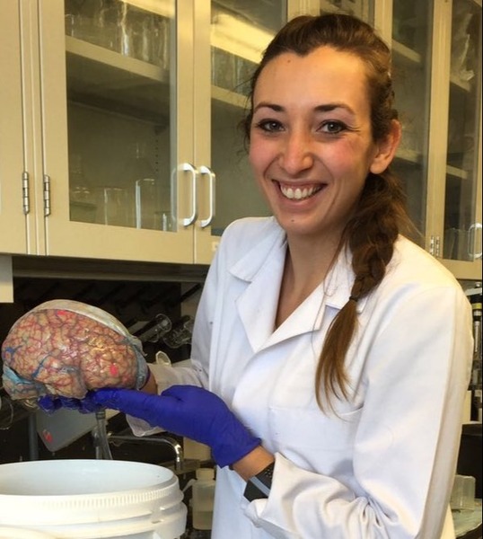 Go to the profile of Sydney Boutros