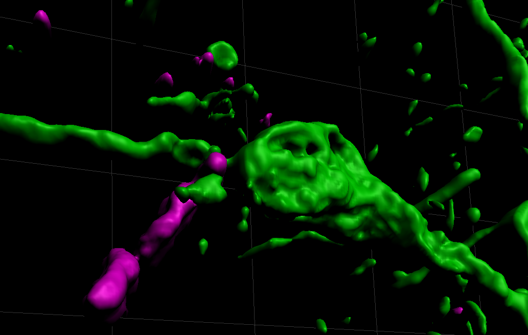 An analgesic pathway from parvocellular oxytocin neurons to the periaqueductal gray in rats