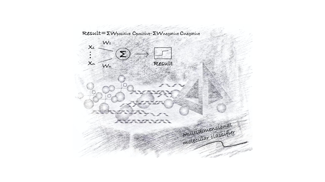 DNA-framework-based multidimensional molecular classifiers for cancer diagnosis