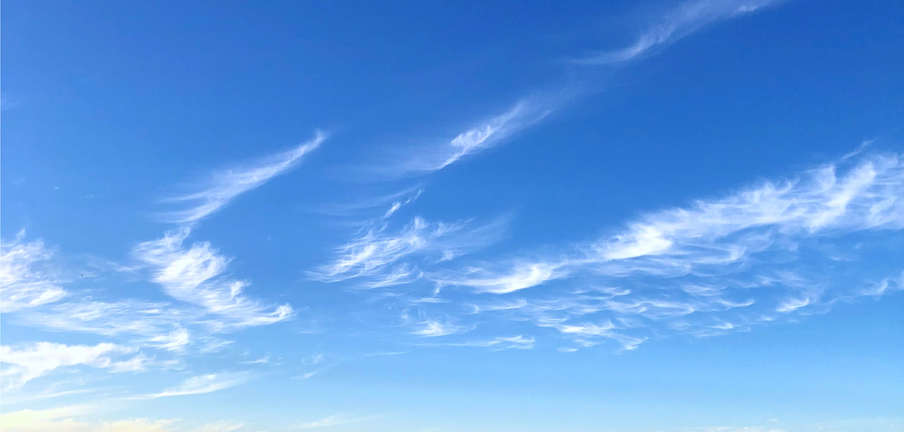 Role of RuBisCO and other biomolecules in the formation of ice in atmospheric clouds