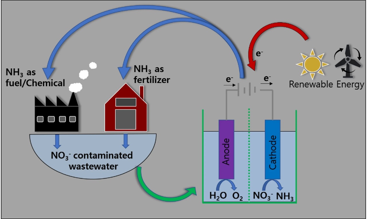 From Nitrate to Ammonia: Mechanistic Insights and Catalyst Design