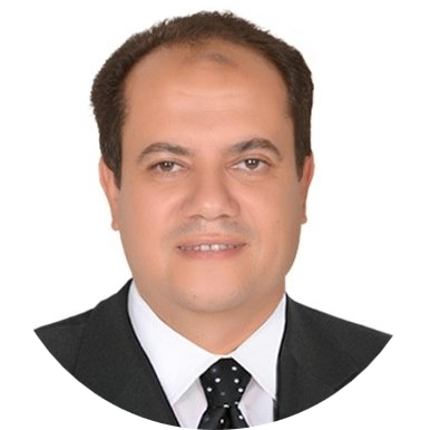 Go to the profile of Ahmed S. Abdel-Moneim