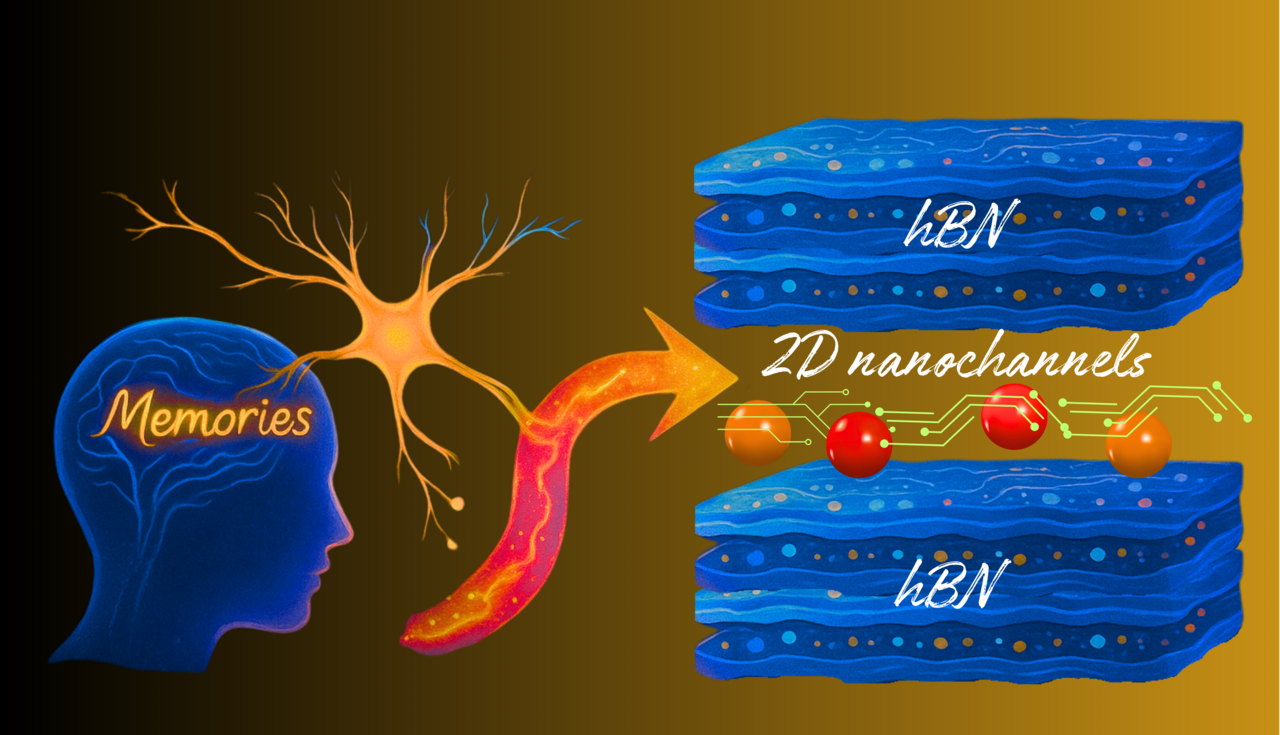 Programmable memristors with two-dimensional nanofluidic channels