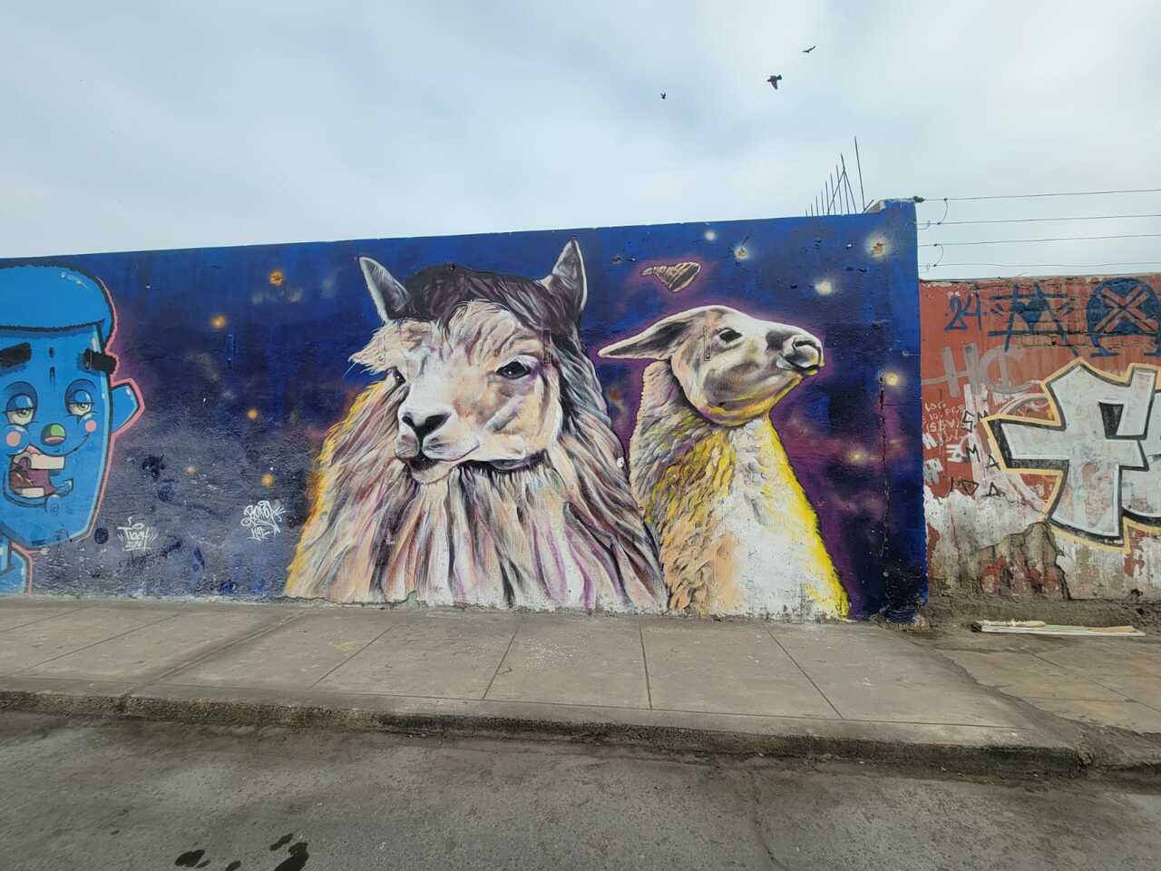 LiA Week 4 Reflection Make_sense Perú