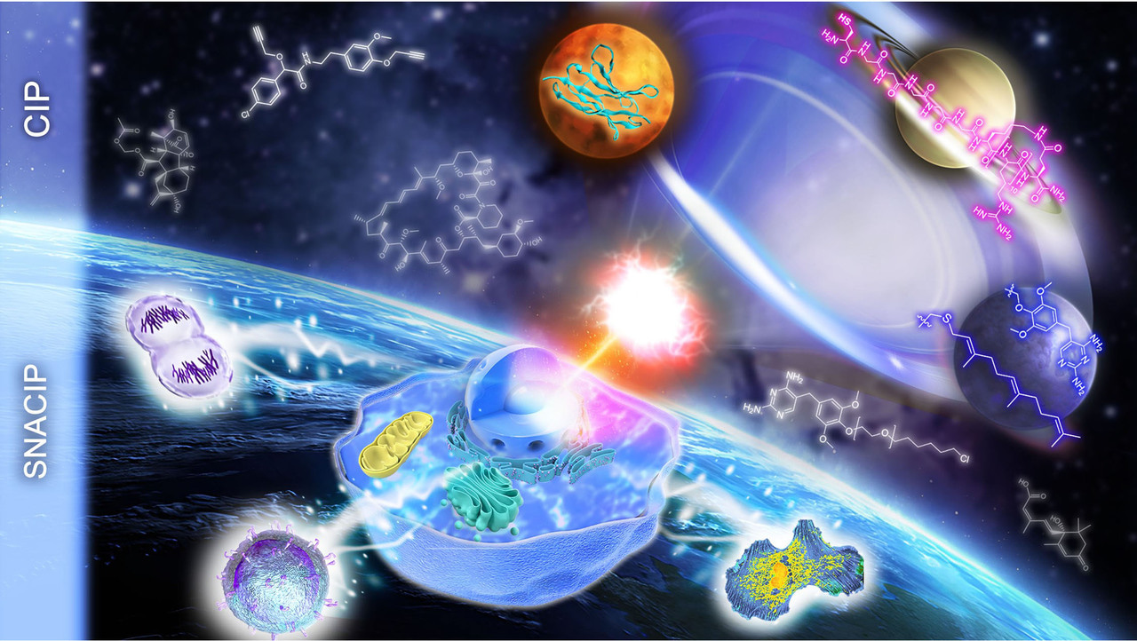 SNACIP: small molecule-nanobody conjugate induced proximity controls intracellular processes and modulates endogenous unligandable targets