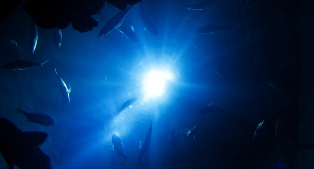 What the geological past can tell us about the future of the ocean's twilight zone