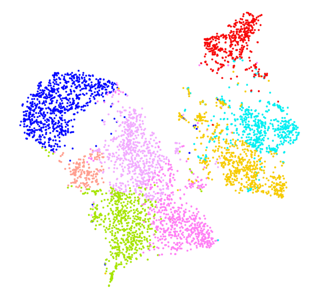 Neutrophils: a Hidden Gem for Cancer Immunotherapy