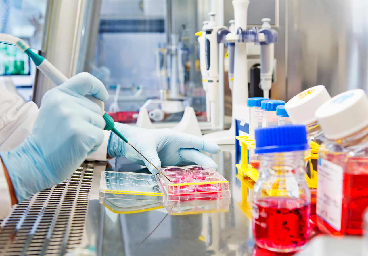 Why is restricting postdoc time in Germany a mistake?