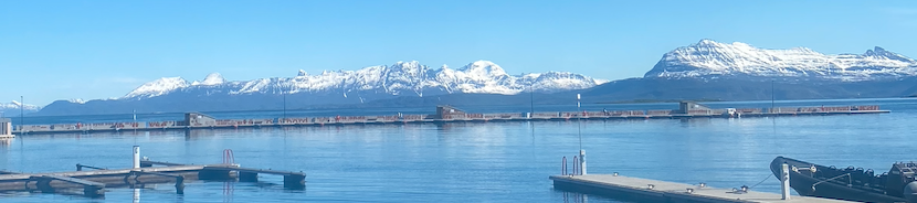 LIA Week 2 - Arctic Mayors' Forum