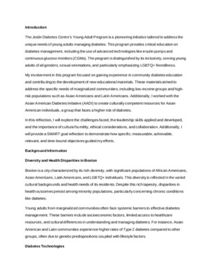 LiA Reflection Report