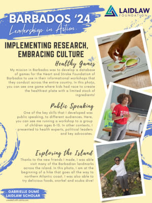Leadership in Action reflection Barbados 2024 poster