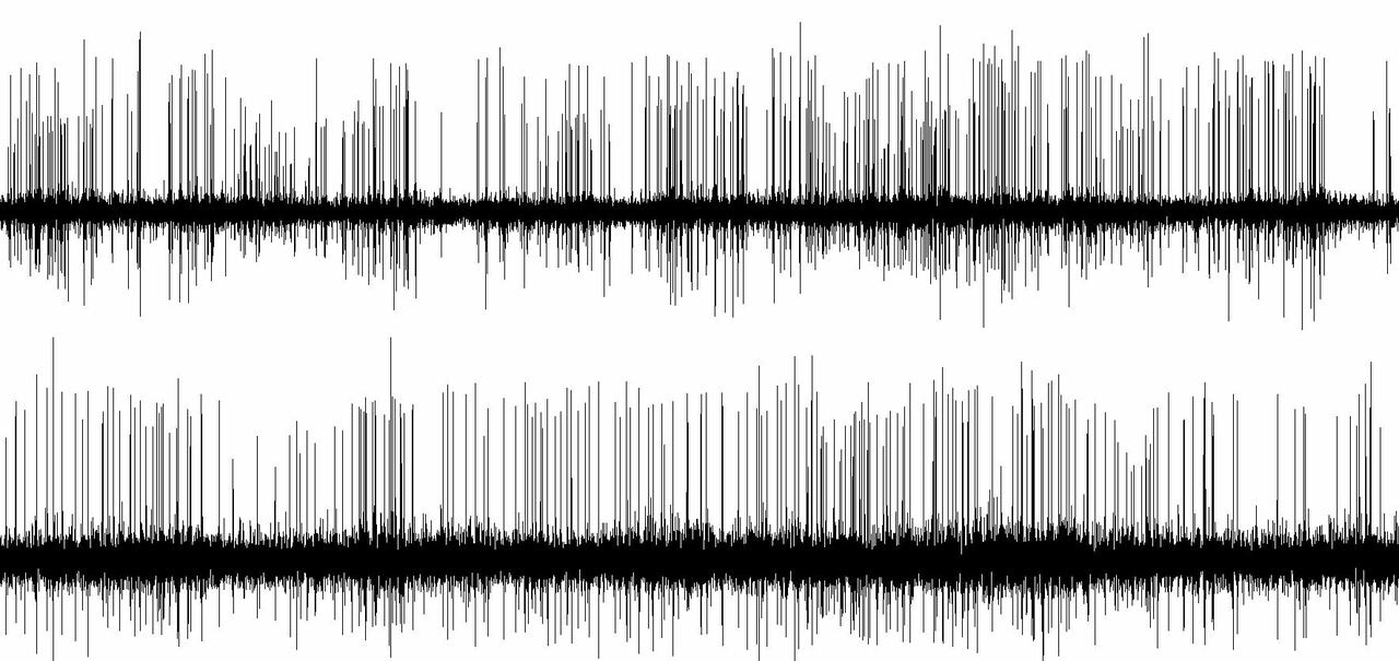 Top-down control of human motor thalamic neuronal activity during the auditory oddball task