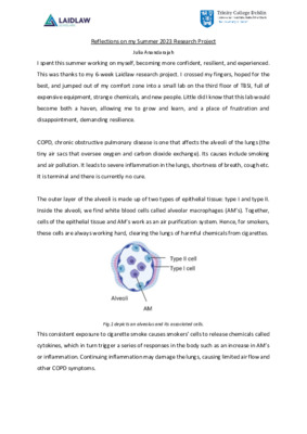 Reflections on my Summer 2023 Research Project